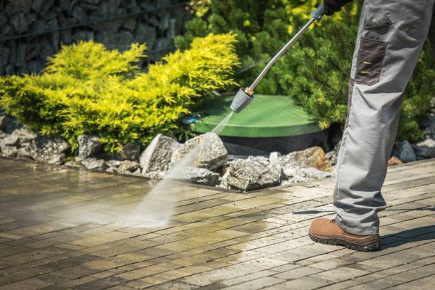 Best Solar Panel Cleaning  in Pebble Creek, FL